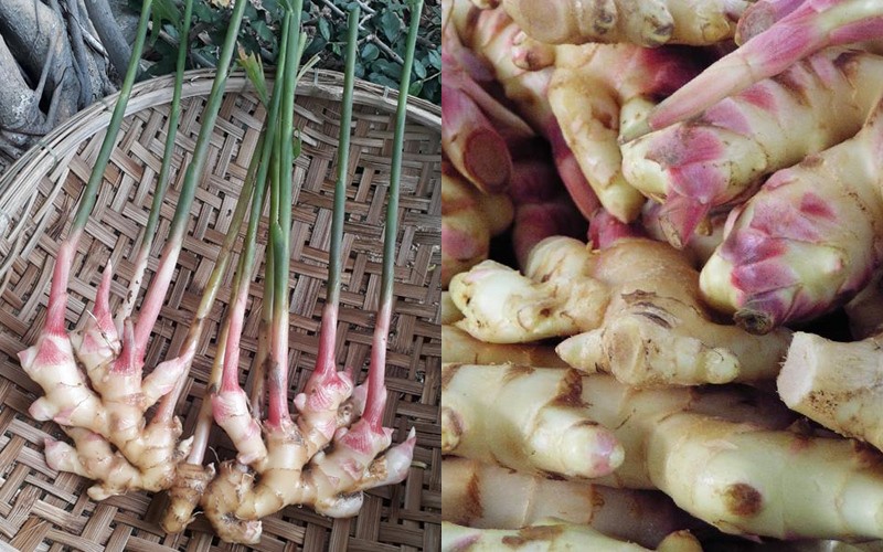 500gr  gừng tươi ngon Tiền Giang DFDF (có abor hành được kiểm tra hàng )
