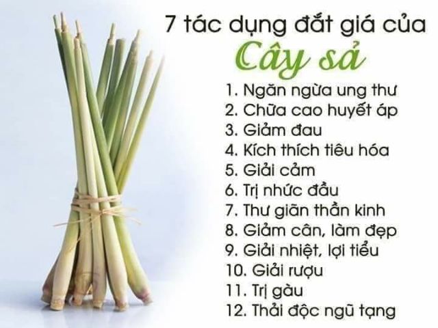TRÀ SẢ-CHANH-LÁ DỨA gói 65gram
