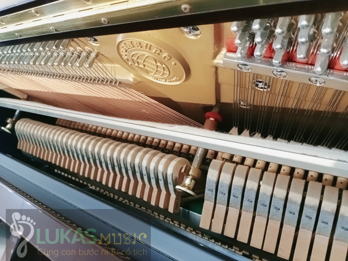 [HCM]ĐÀN PIANO STEINBURG - MP-119FCD