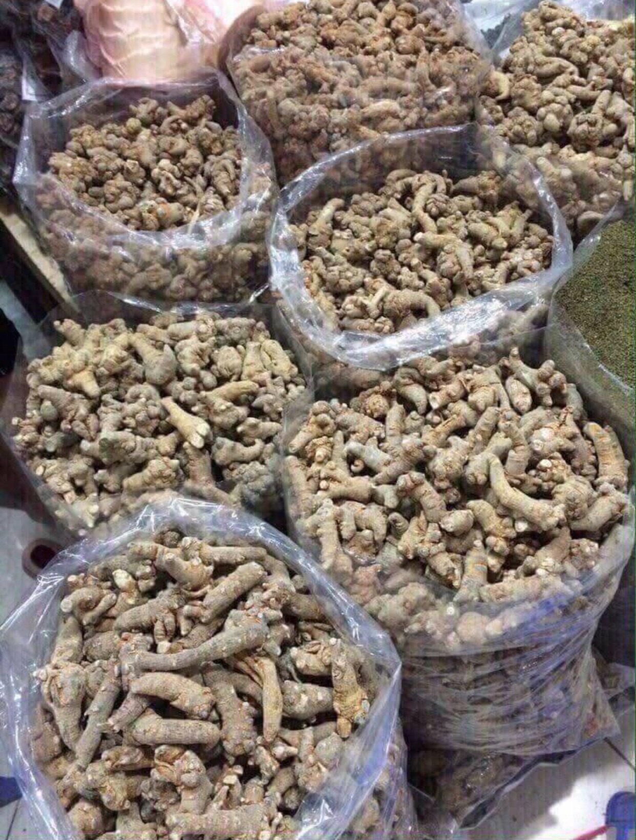 Tam thất bắc khô 1kg (loại 9 củ)