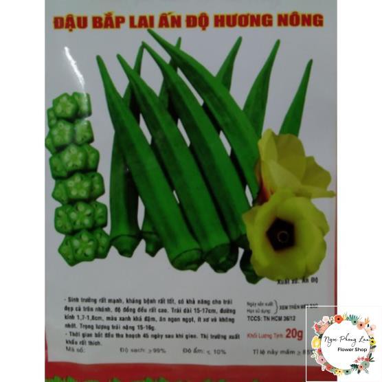 Hạt Giống Đậu Bắp Cà Bắp Lai Ấn Độ - Gói 20 Gram