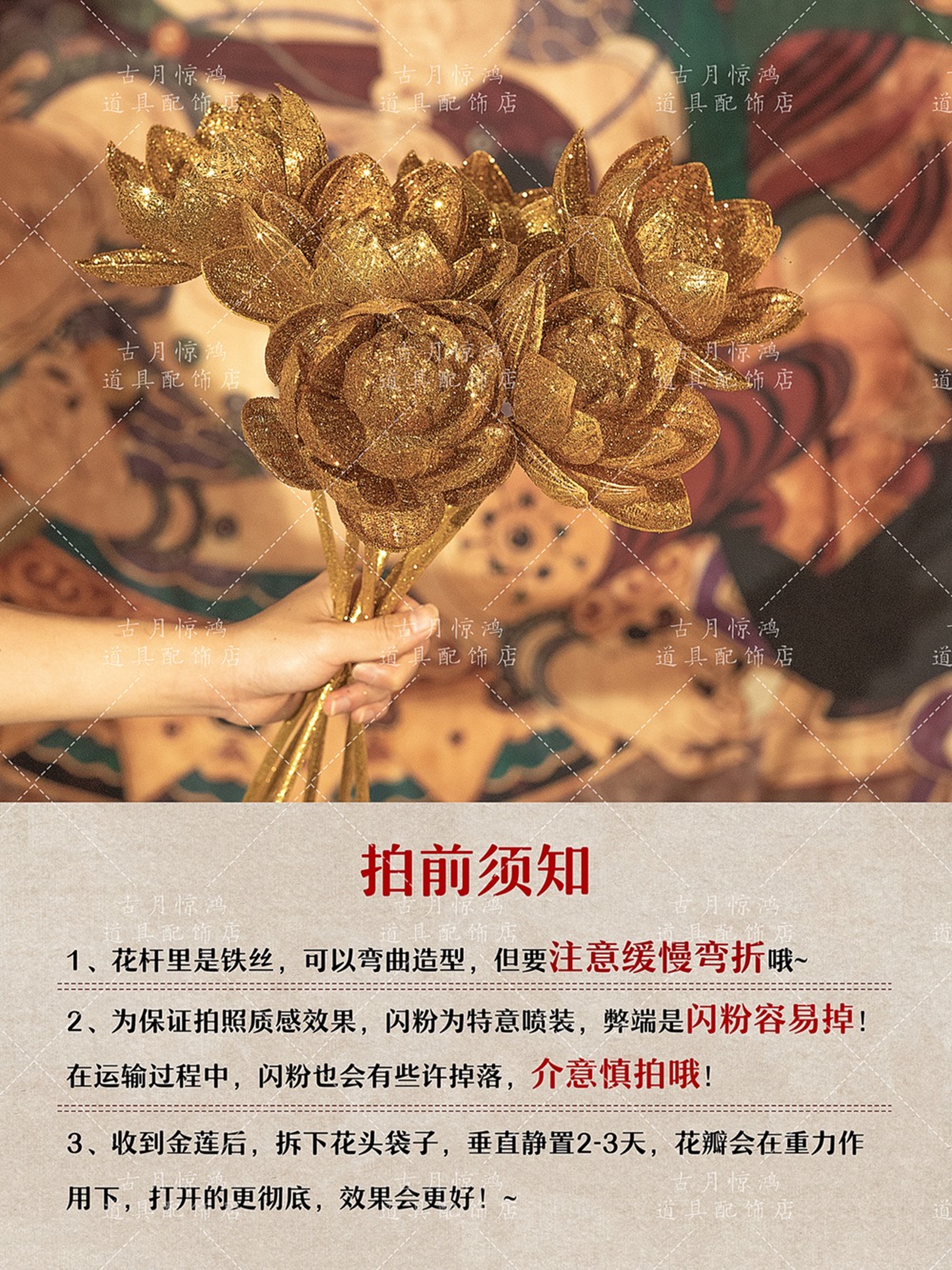 Hoa sen vàng cầm tay chụp ảnh