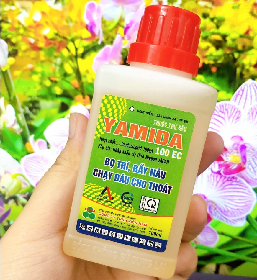 www.lazada.vn