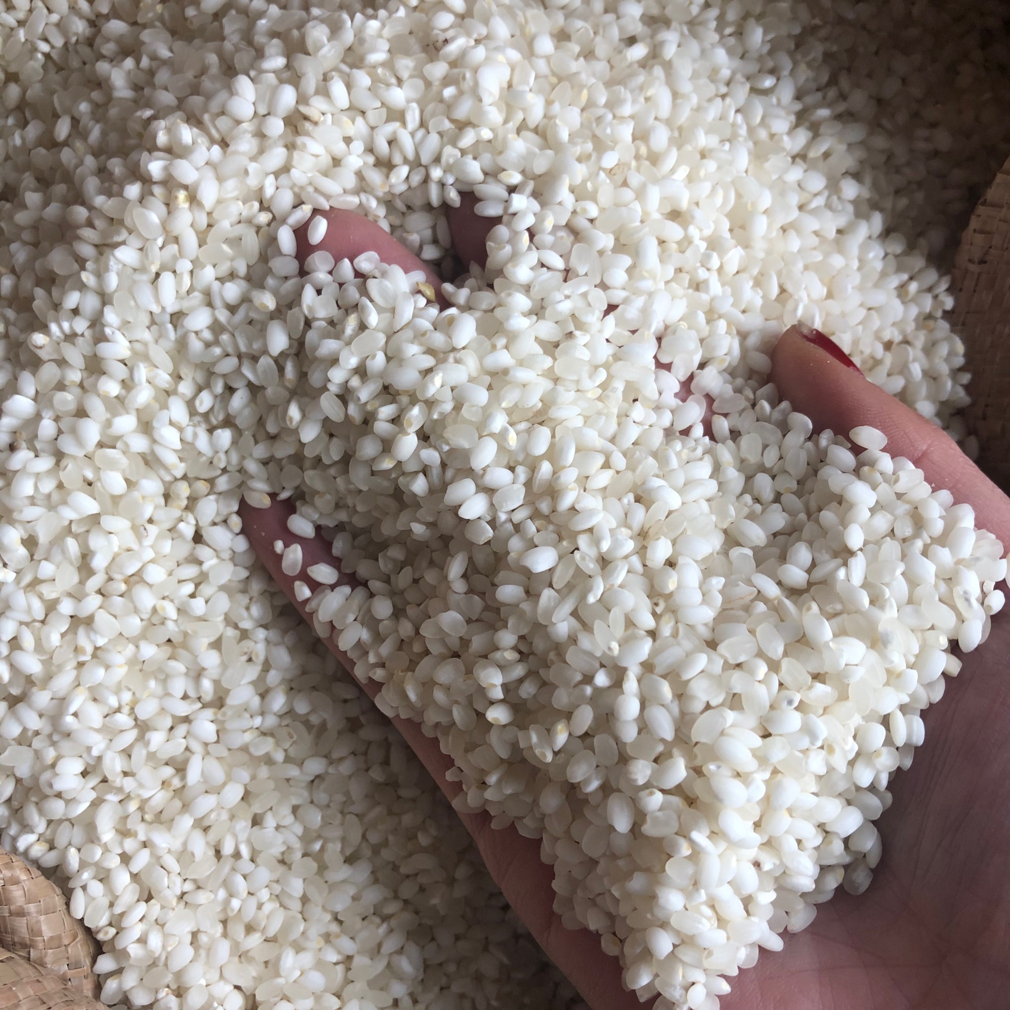 Gạo nếp tú lệ 115k /2kg