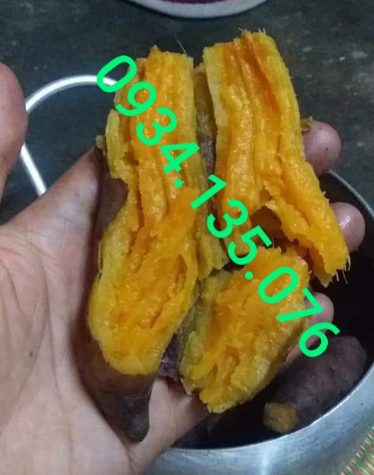 Khoai Lang Mật Vùng Tà Nung Đà lạt, Cỡ Trung (7-10 củ 1 Ký)