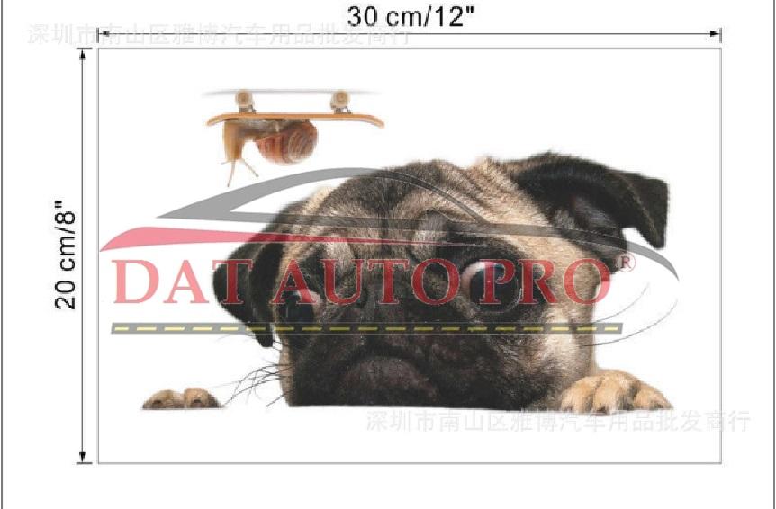 Tem Dán xe oto chó pug siêu dễ thương.