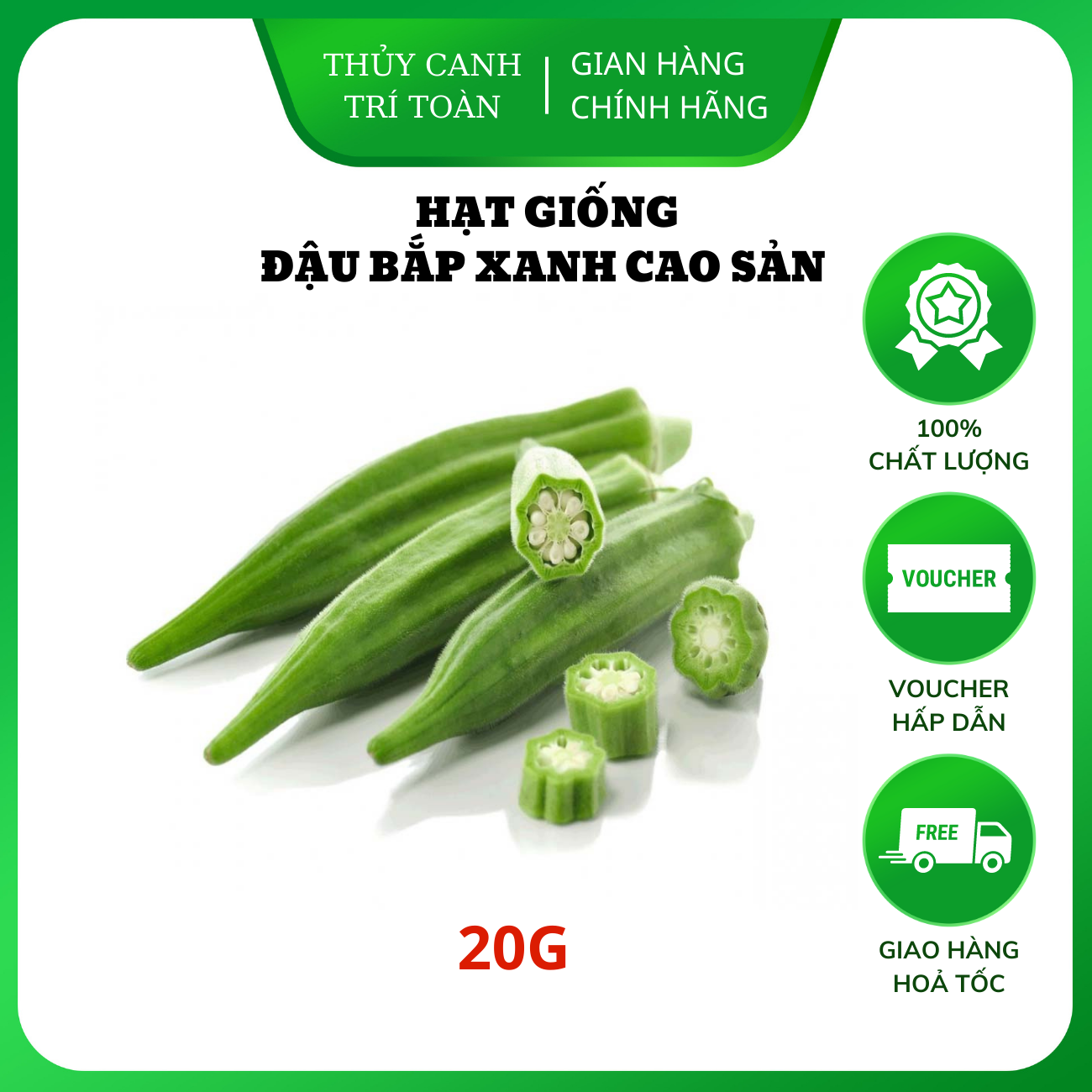 High yield cowpea seed, multi-bean, year-grown bean -radiant seed