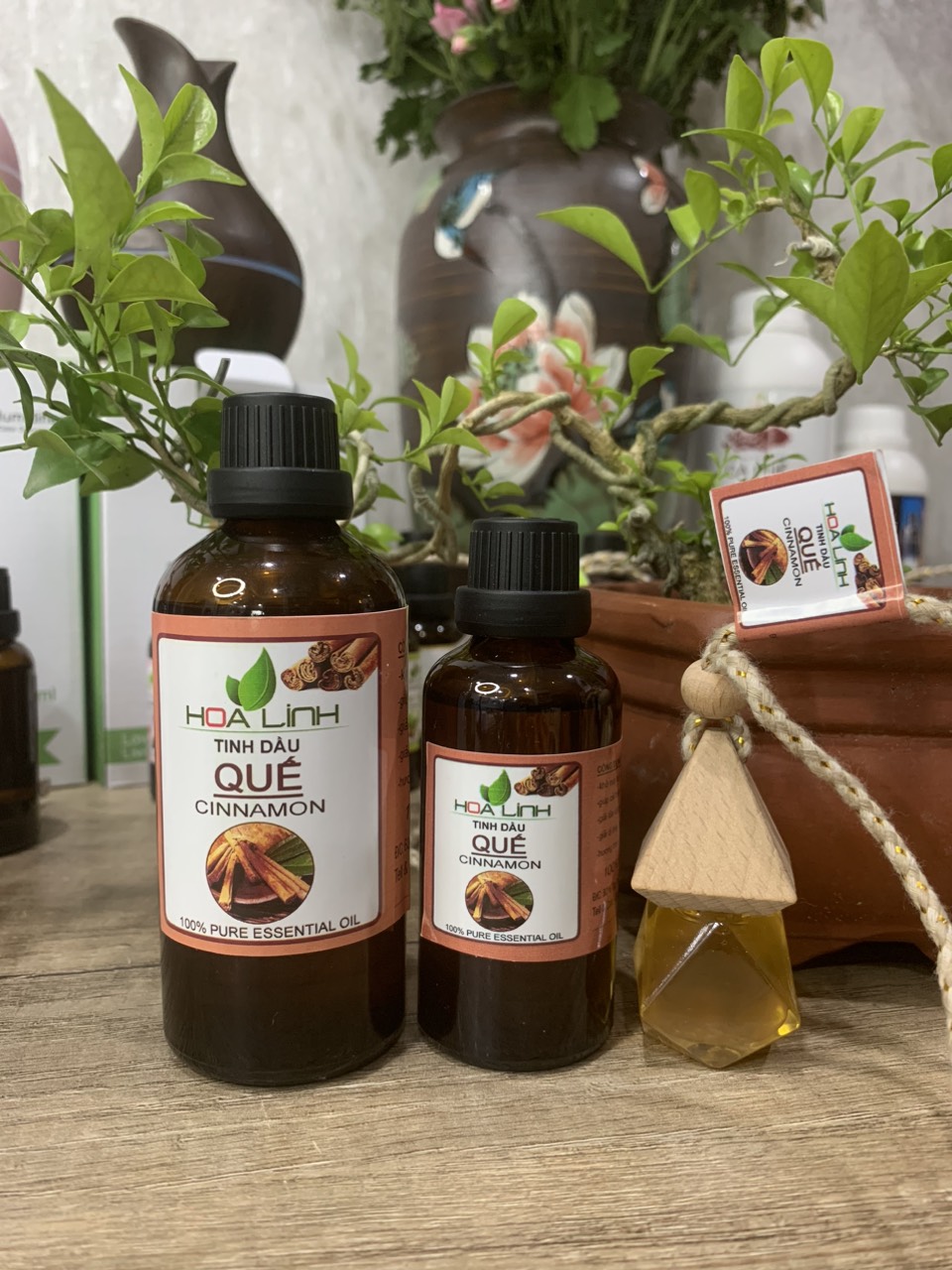 Tinh Dầu Quế 100ml nguyên chất, đậm đặc, thơm lừng :Đuổi Muỗi, xông phòng