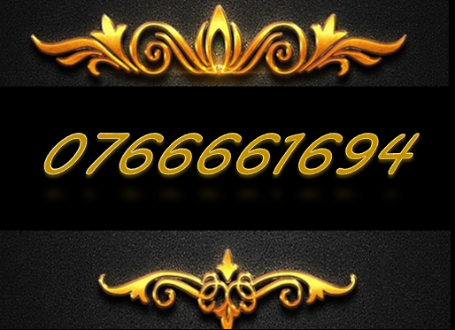 SIM TỨ QUÝ NĂM SINH 07.66661694