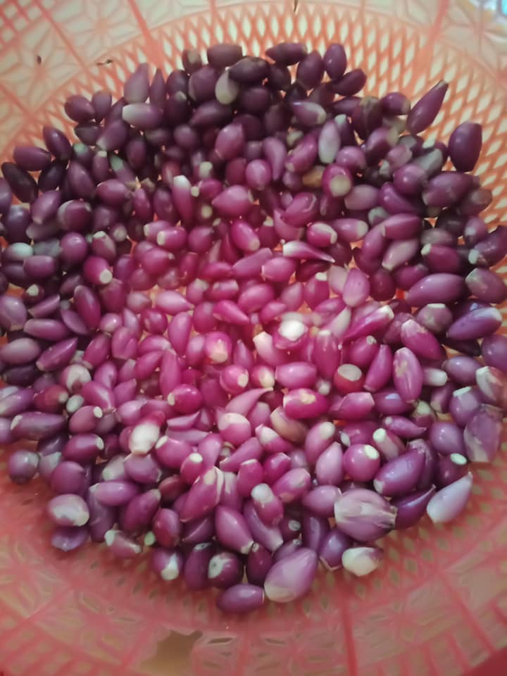 HÀNH NGÂM GIẤM (HÀNH CHUA NGỌT)