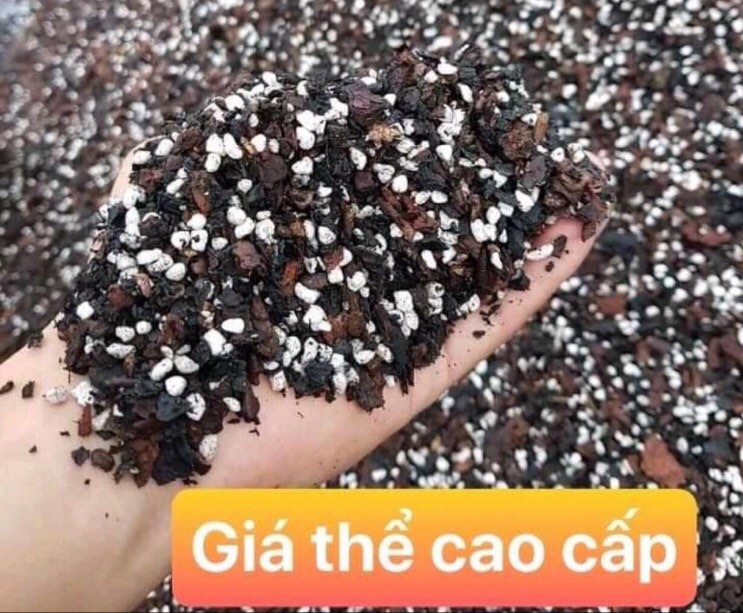 Giá Thể Trồng Lan Cao Cấp Đã Xử Lý (1kg)