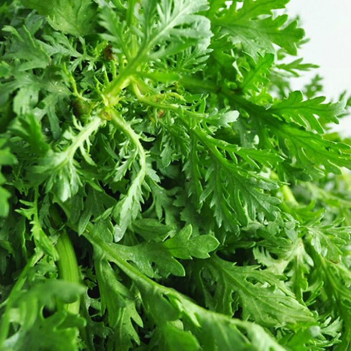 Hạt giống Rau tần ô gói 20 gr