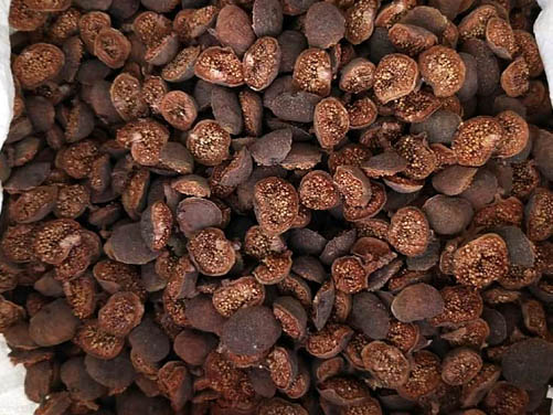 quả sung phơi khô 1 ký
