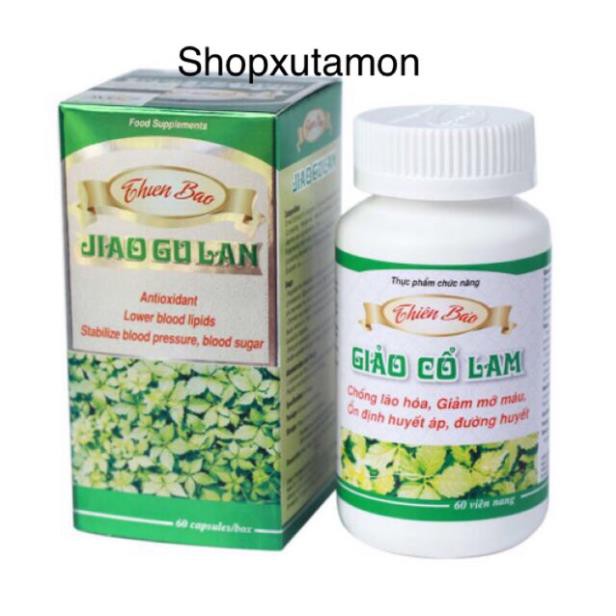 [HCM]Giảo cổ lam thiên bảo hộp 60 viên sản phẩm đa dạng chất lượng tốt đảm bảo an toàn sức khỏe người sử dụng