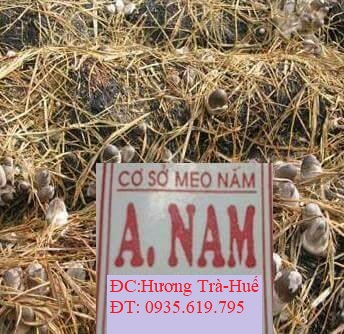 Bột lông vũ dùng cho nấm rơm
