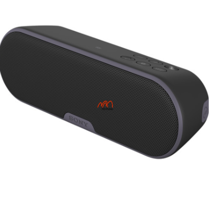 Thay pin loa Sony SRS XB2 ST-01 Phiên Bản 2015
