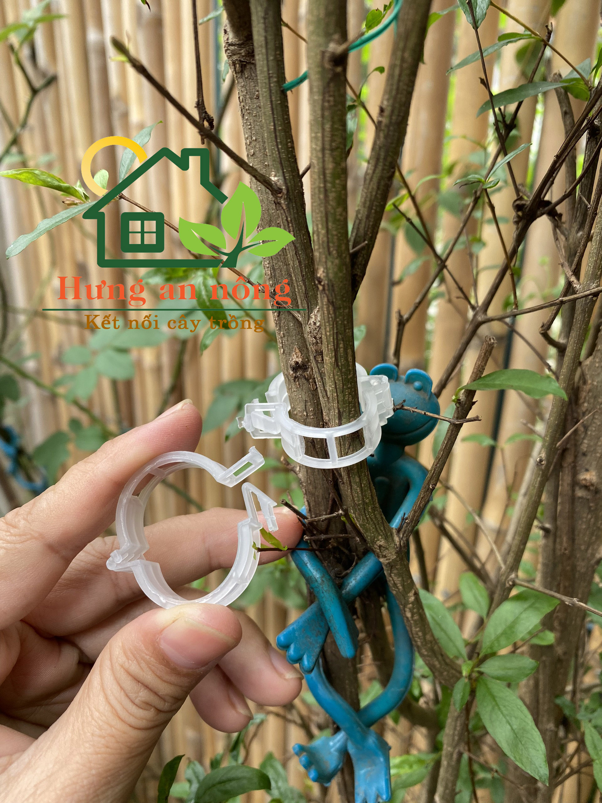 Bộ 50-100 Kẹp khoanh tròn cố định cành cây cứng và dây leo màu xanh và trắng trong