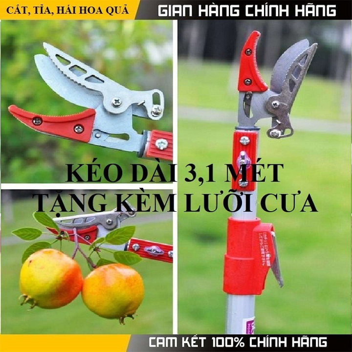 Kéo cắt cành