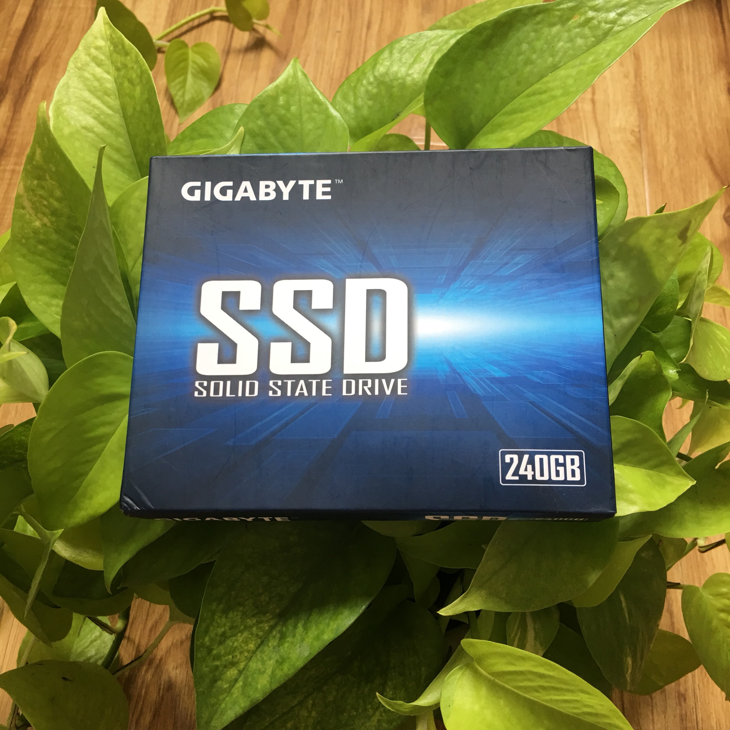 Ổ cứng SSD 120GB Gigabyte Sata III (GP-GSTFS31120GNTD)