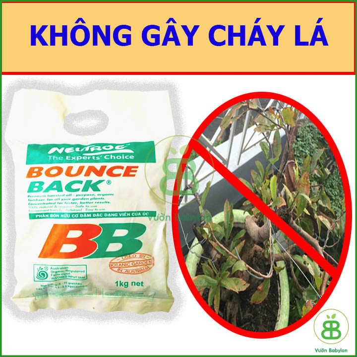 Phân Hữu Cơ Đậm Đặc Bounce Back Gói 1Kg