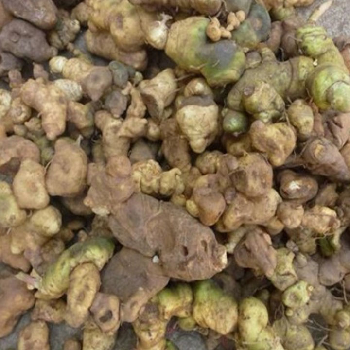 Củ hoàng tinh 1kg