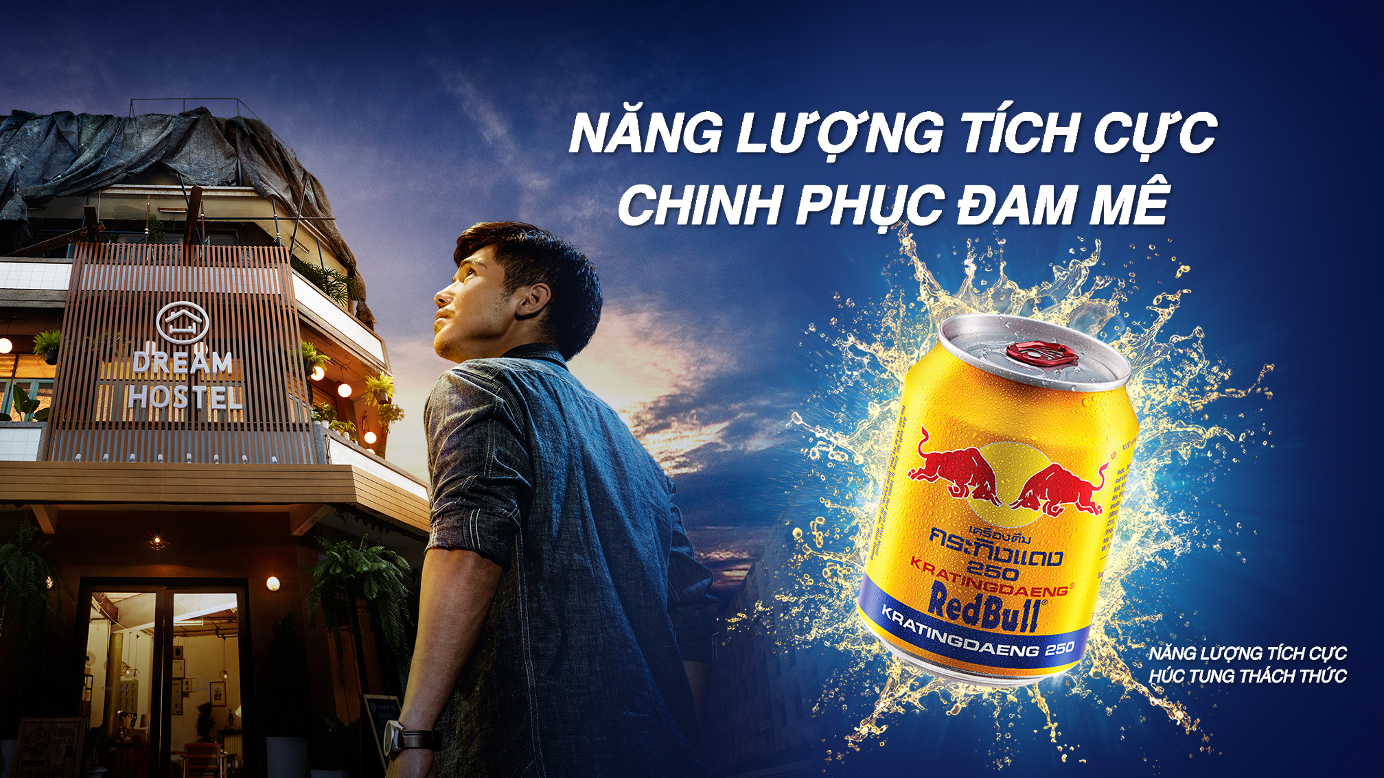 LỐC 6 LON REDBULL BÒ HÚC VIỆT 250ML