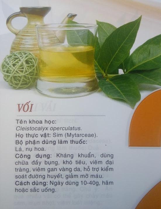 Cây, Lá vối tươi