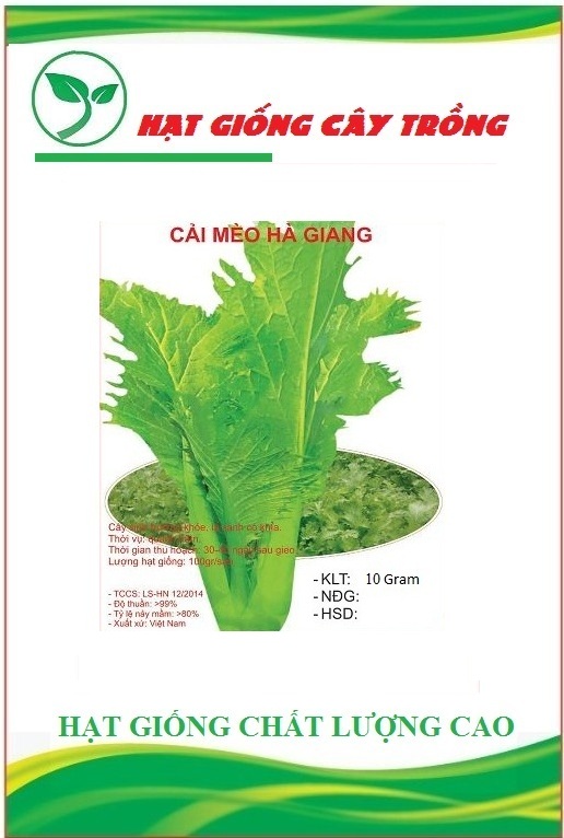 Hạt giống rau cải mèo cao sản - 1 gói 20gram