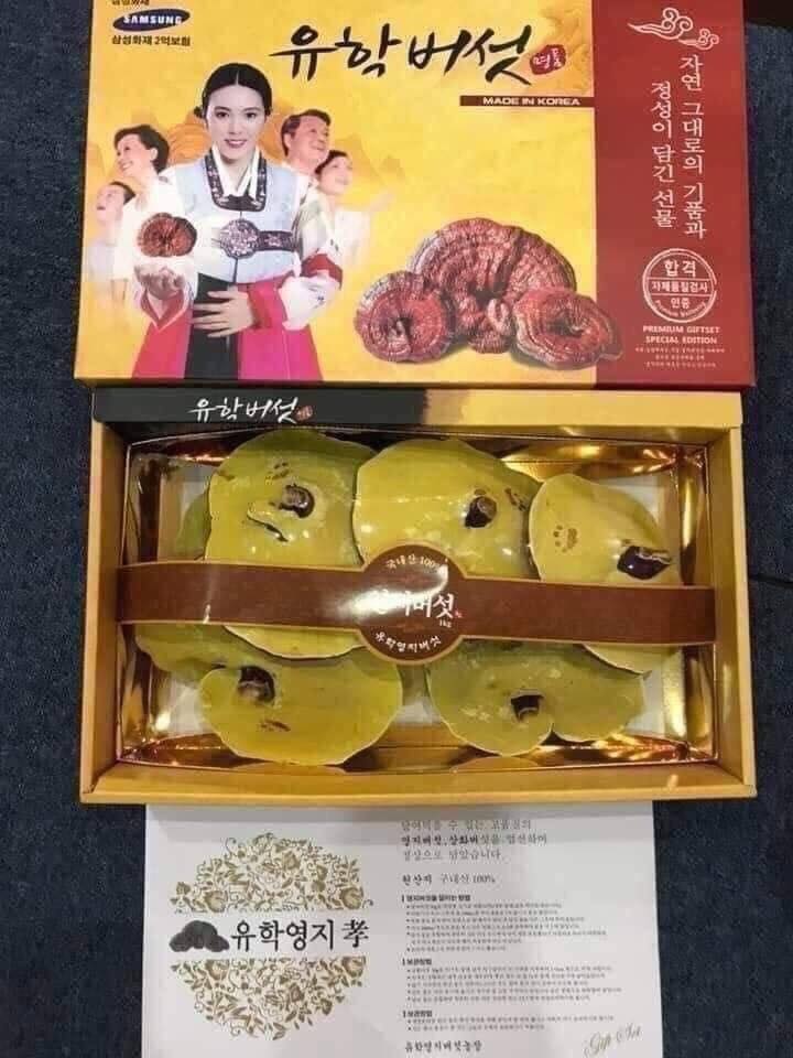 Nấm linh chi cô gái hàn quốc