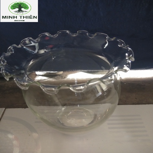 [HCM]Bình Hoa Thủy Tinh Miệng Bèo 15cm x 27cm - DB02
