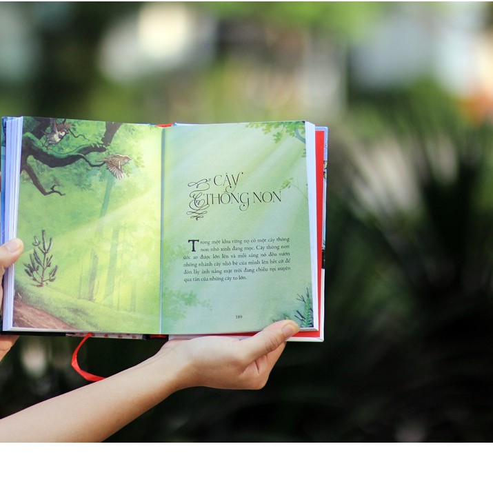 Sách - Illustrated Classics - Truyện Cổ Grimm (DTI) - Newshop