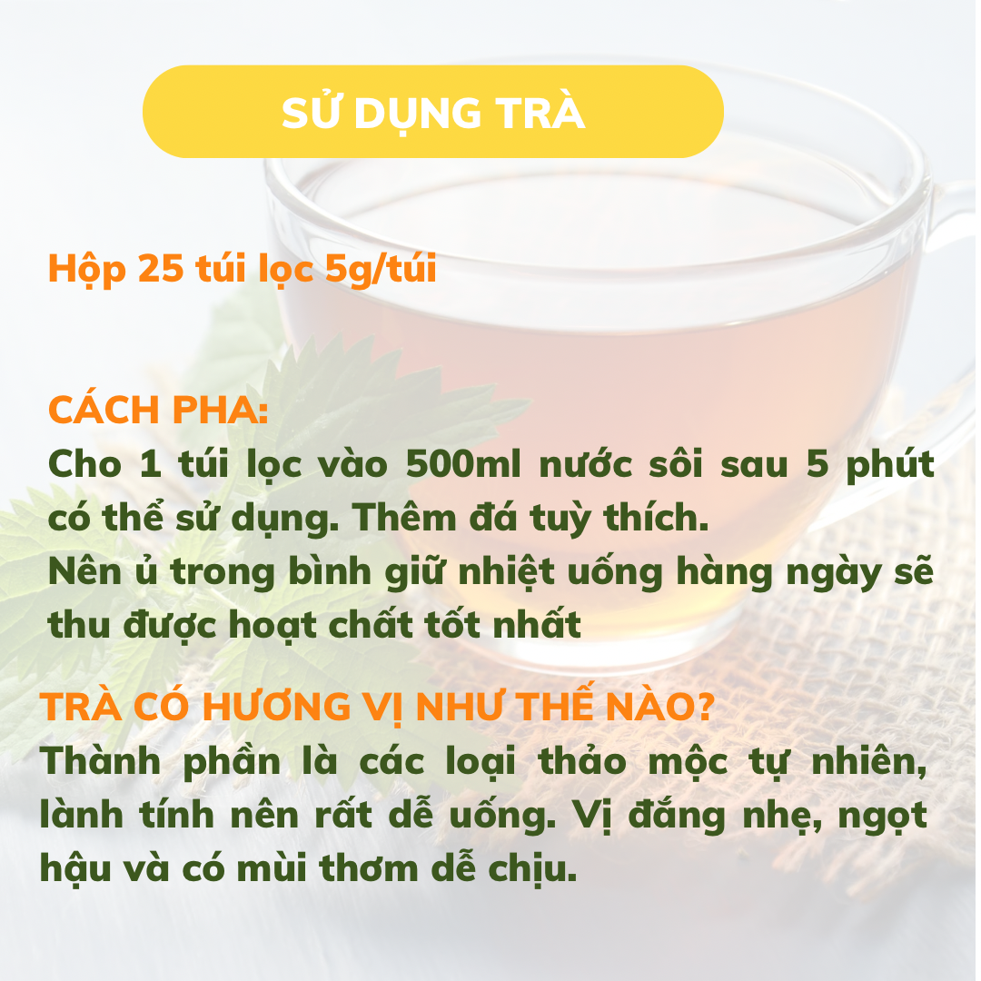 Trà Đinh lăng Mộc Can hộp 25 túi lọc