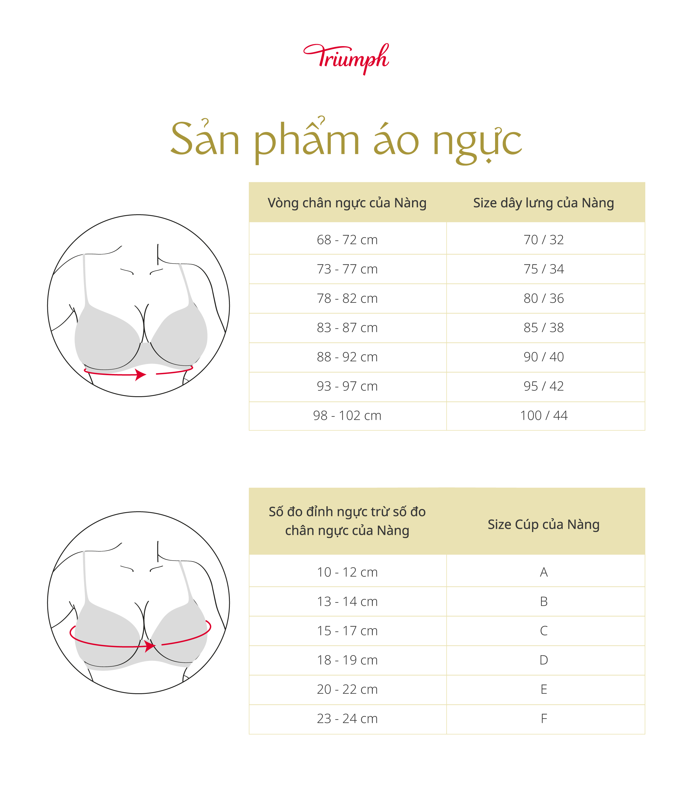 Áo Lót Nữ Sloggi WHP EP Có Gọng Mút Mỏng