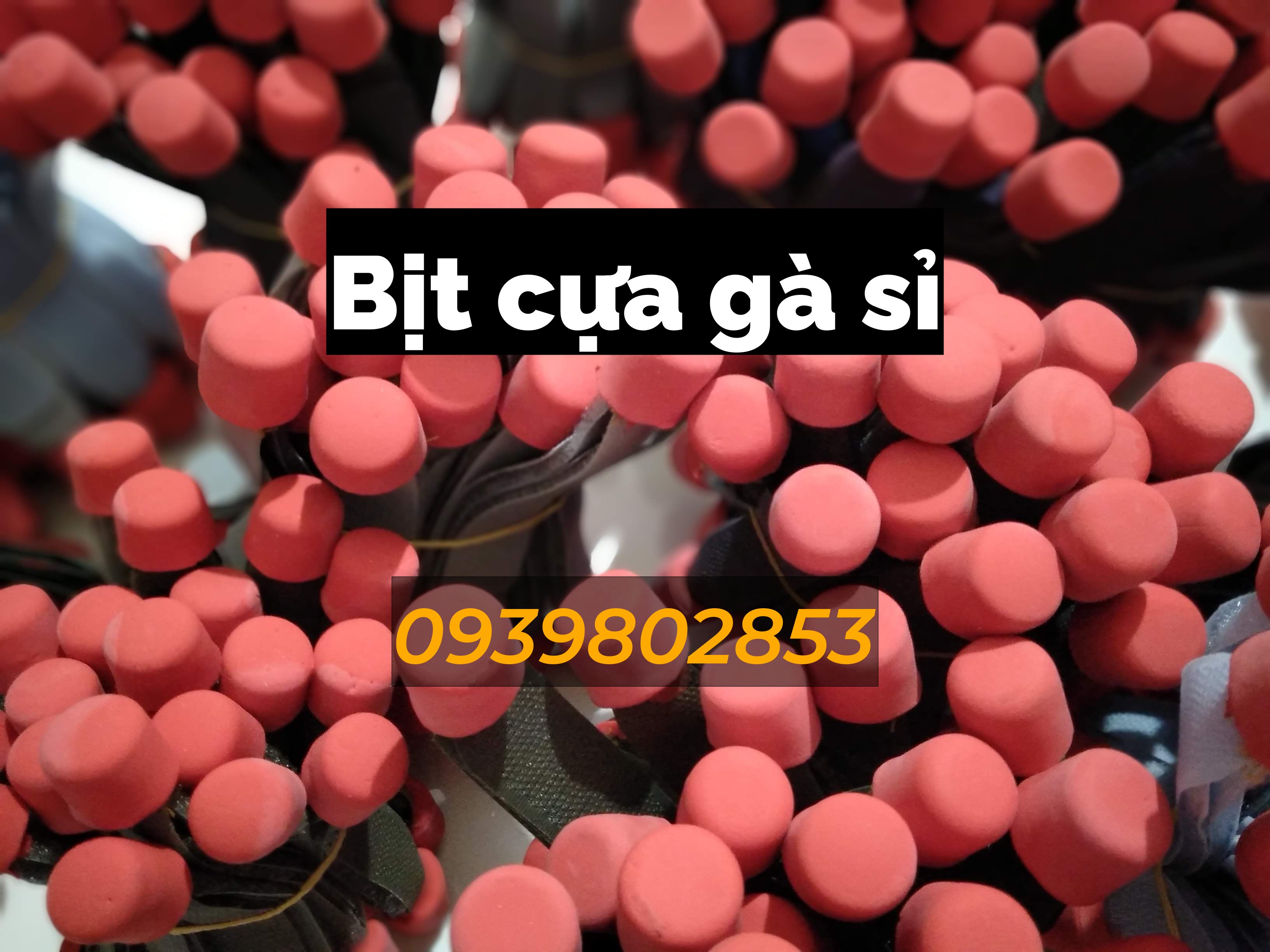 Bịt cựa gà nòi giá rẻ (1 bộ 4 cái)