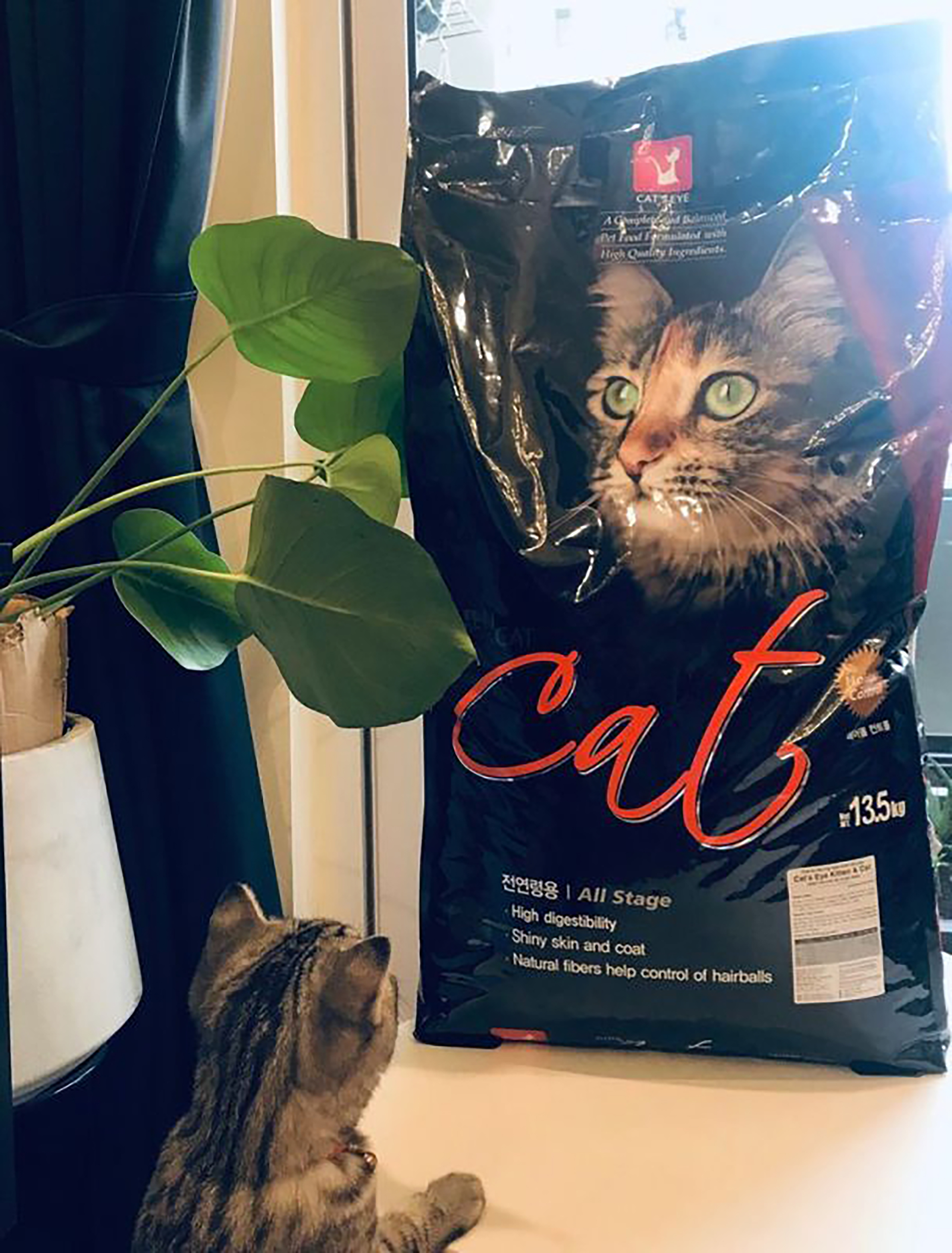 Thức ăn hạt cho mèo Cat's Eye 1kg