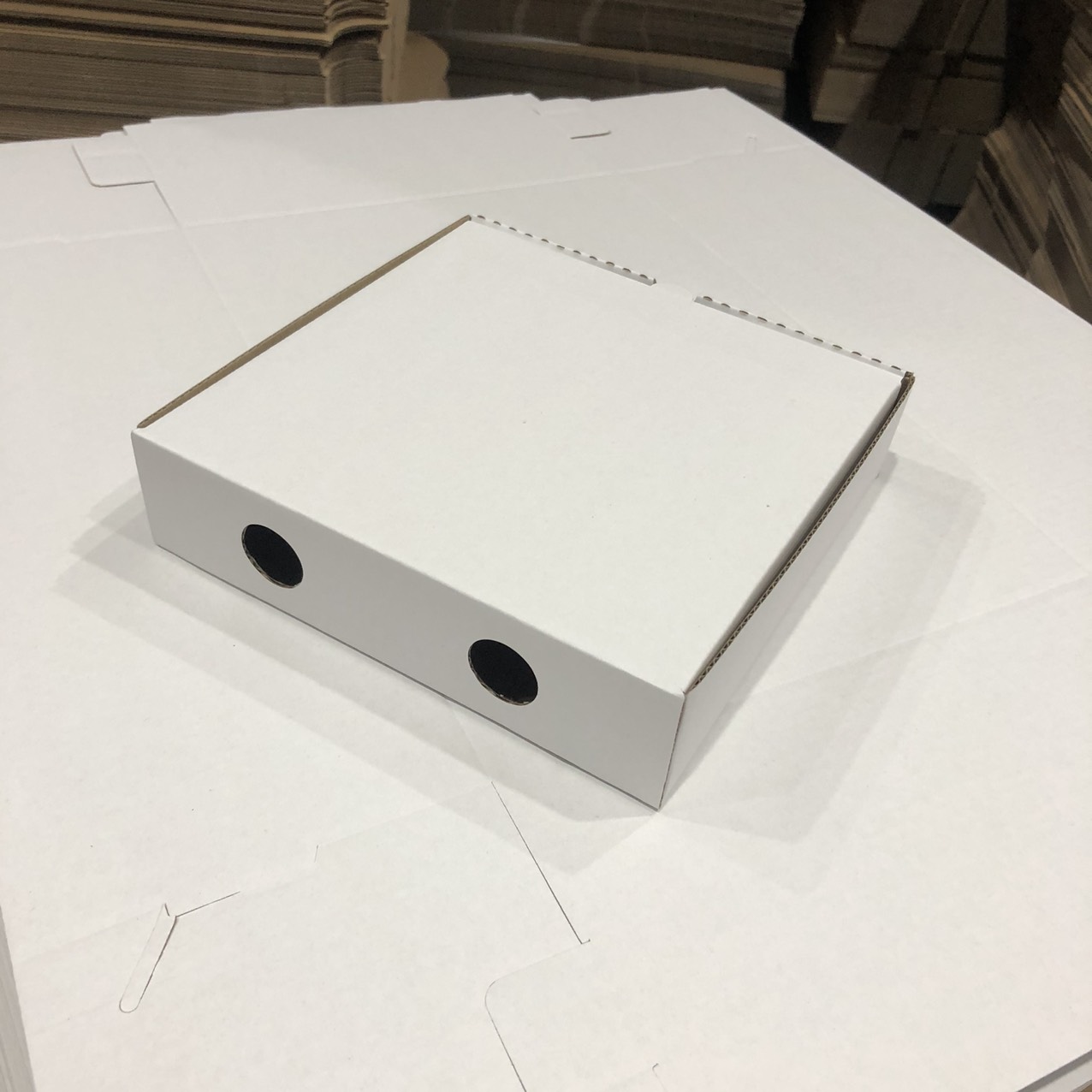 COMBO 10 Hộp đựng bánh pizza size 32x32x4cm