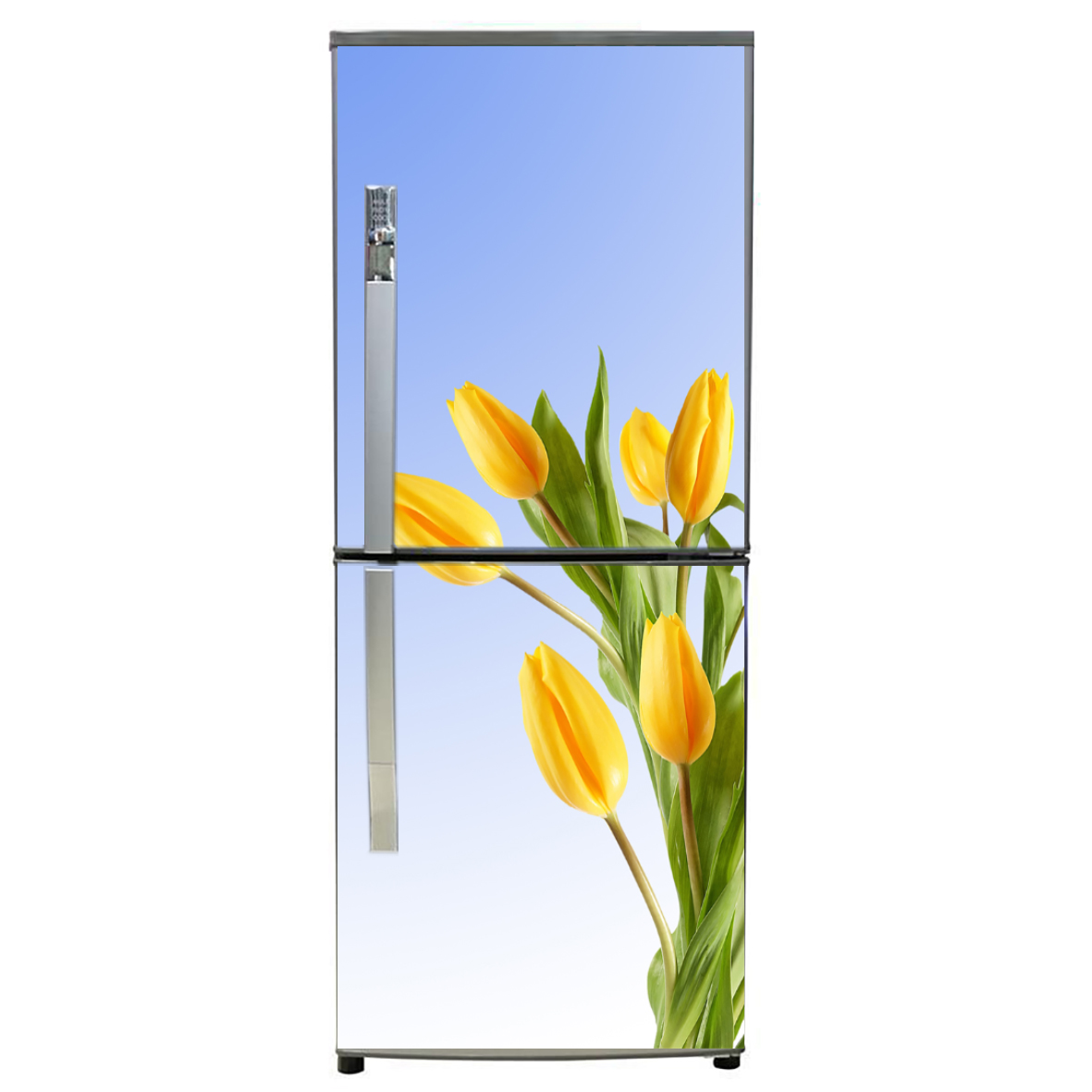 decal dán trang trí tủ lạnh - hoa tulip