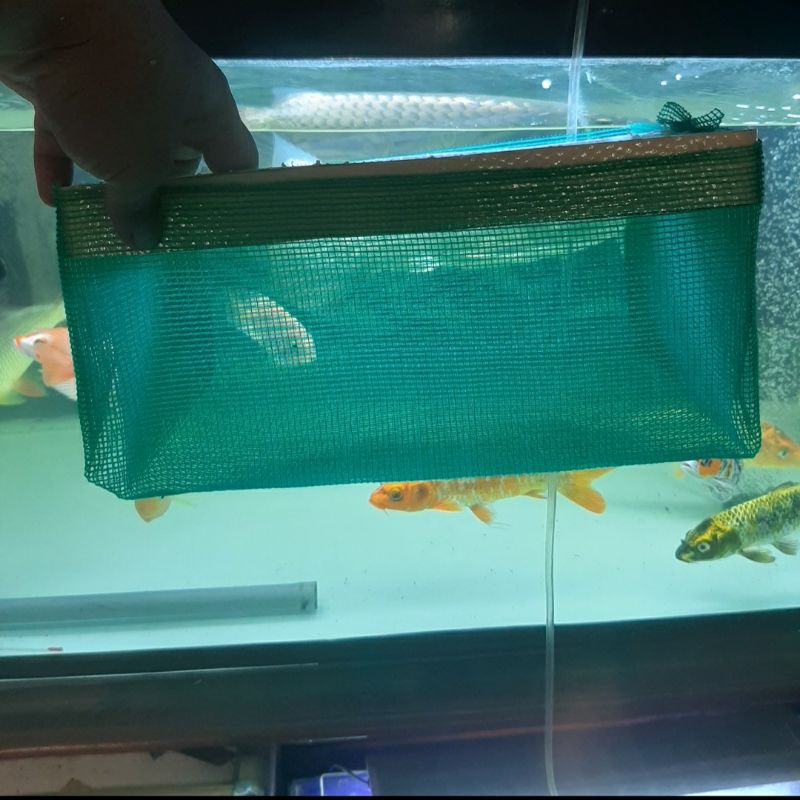 Lồng Đẻ Dưỡng Cá 7 Màu Có Phao Nổi Phù Hợp Với Các Loại Khay Và Thùng Xốp - Made In Guppyxanh  30X40Lớn