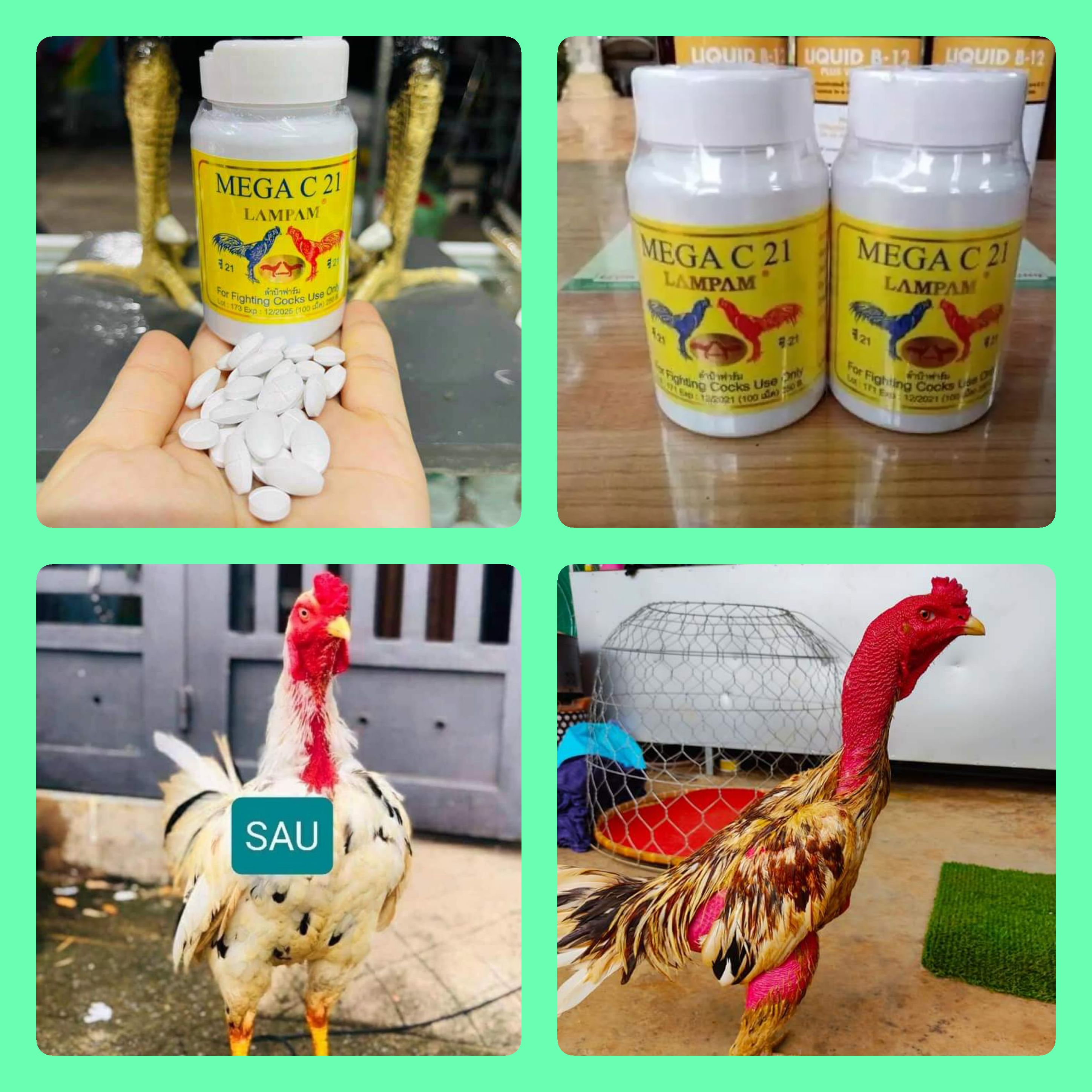 MEGA-C21( 100 viên ) th.uốc nuôi cao cấp dành cho gà đá