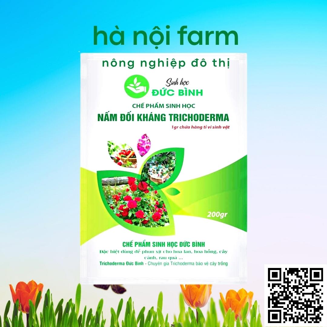 Men ủ sinh học TRICHODERMA BACILILUS gói 200g, tricho đức bình