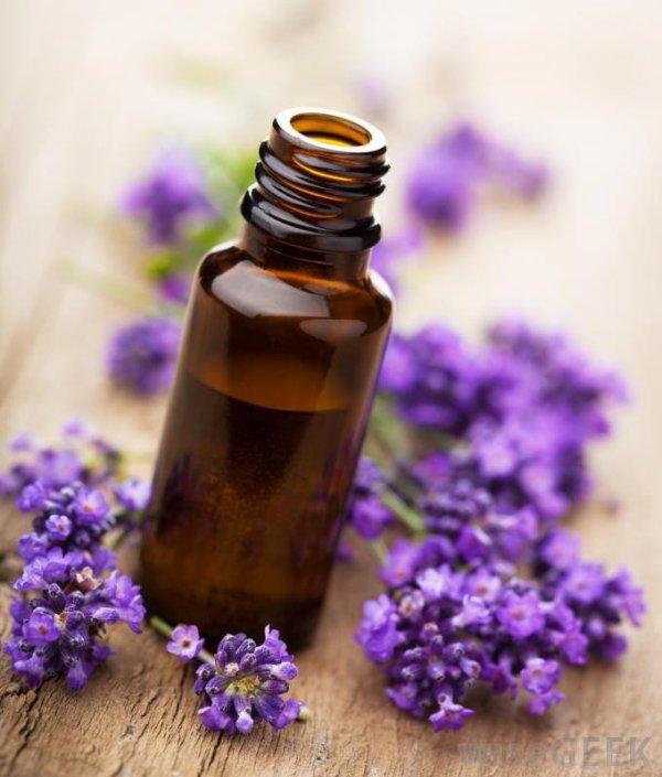 Tinh dầu hoa oải hương Lavender (10ml)