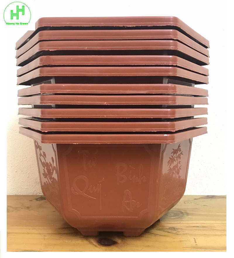10 Châu Nhựa Bonsai Lục Giác Bình Thuận 250x150 Trồng Hoa, Cây Cảnh,  Được thiết kế tiện lợi cho việc trồng các loại cây cảnh , cây trong nhà , cây vườn