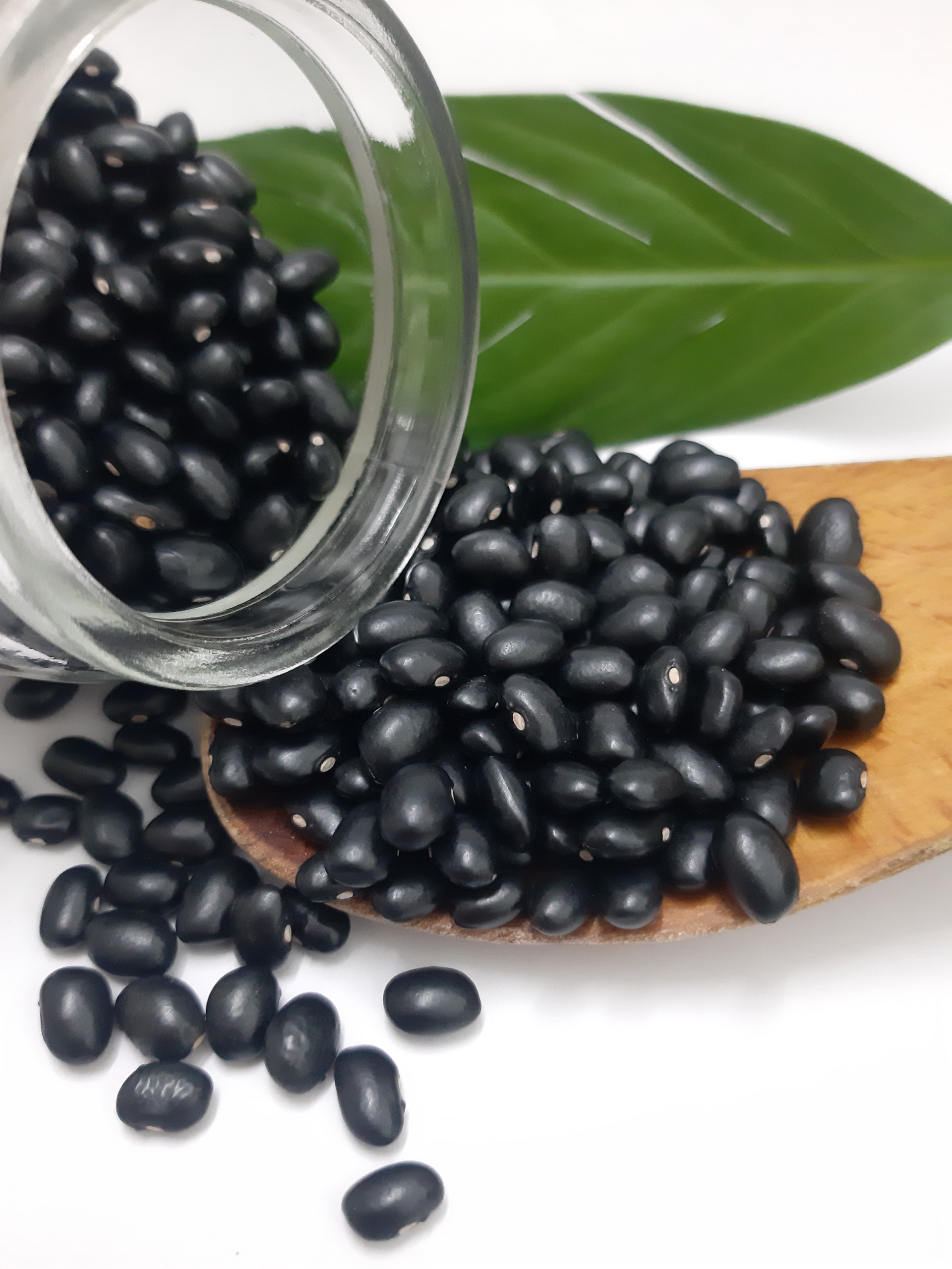 ĐẬU ĐEN ĐÀ LẠT PHÚ MINH TÂM 250G