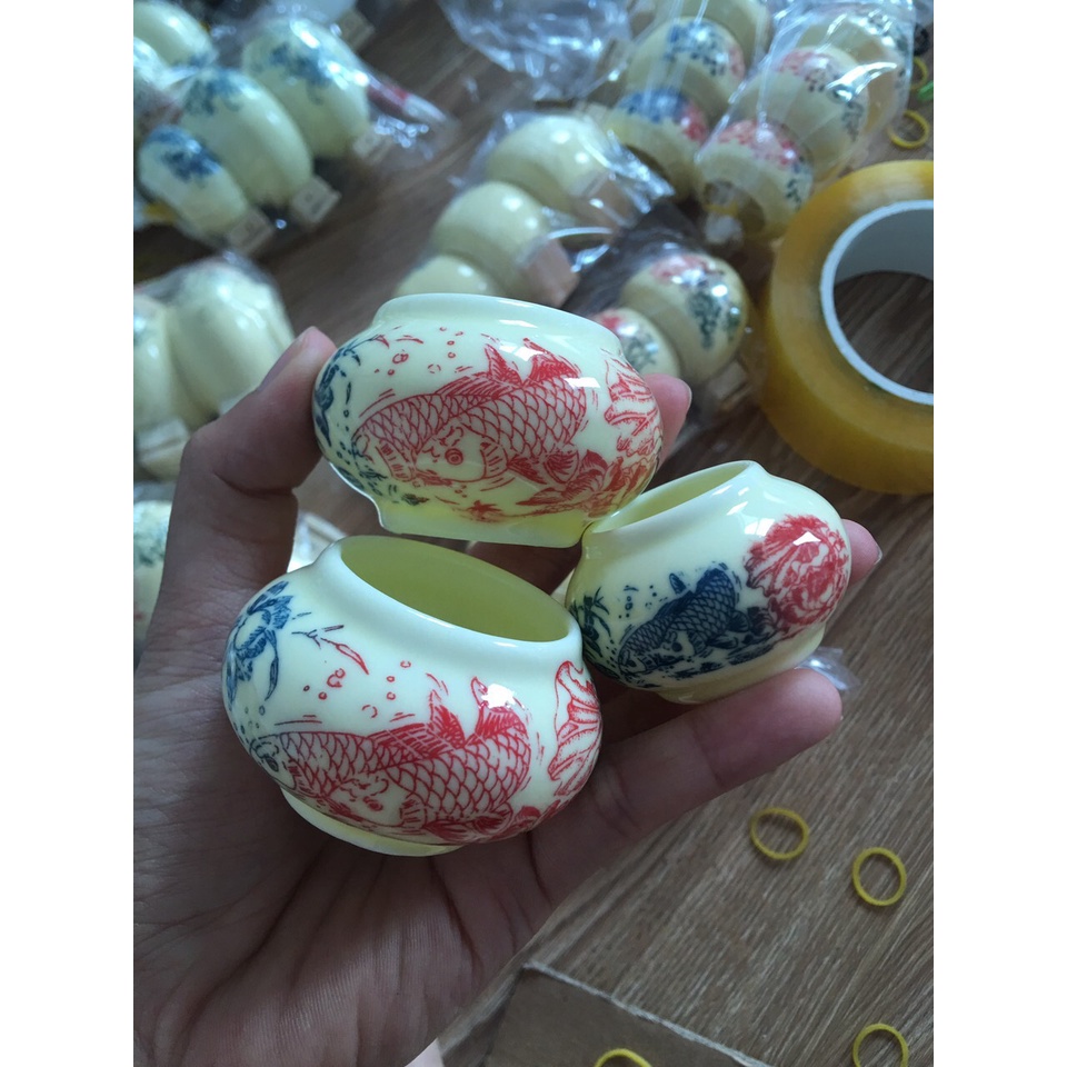 Cóng chim chào mào, chòe than, chòe lửa, my, cóng chim rẻ đẹp