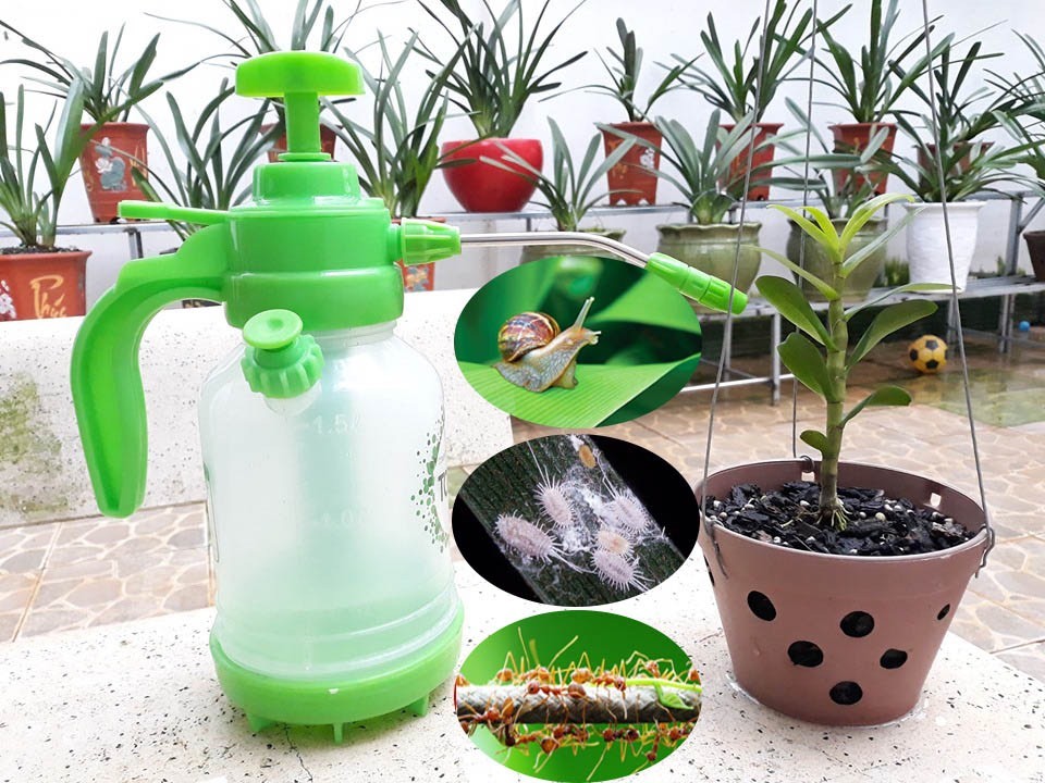 Garden Safe Slug & Snail Bait 100Gr – Effective Snail Killer, Safe for Plants