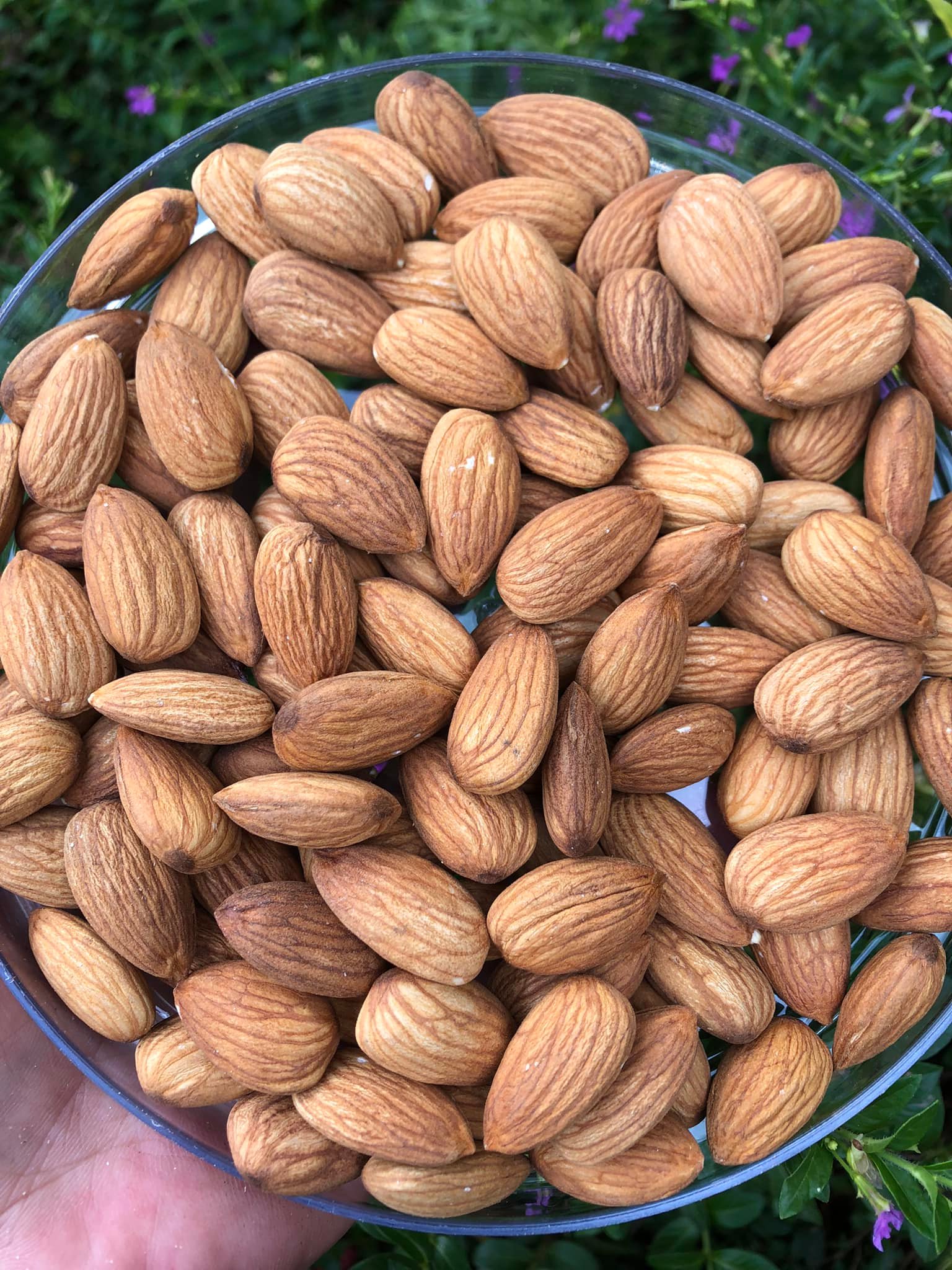 Hạnh nhân rang bơ siêu ngon/hạnh nhân không vỏ