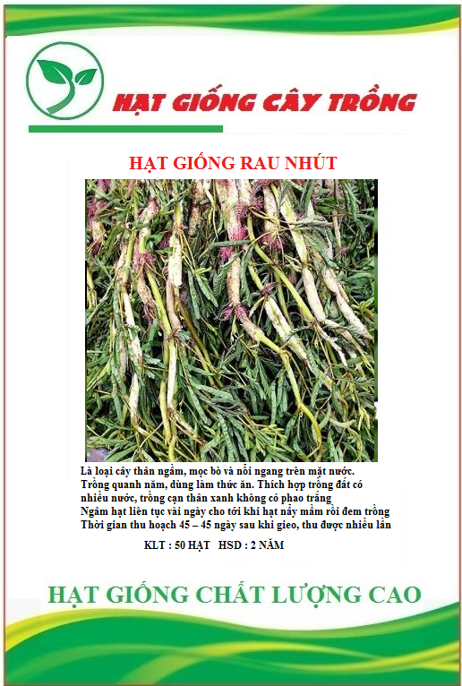 Hạt giống rau nhút - rau rút dút ct61 - gói 50 hạt