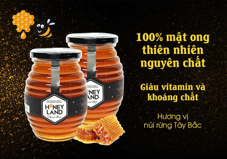 Mật ong Hoa Rừng Gia lai 100% nguyên chất