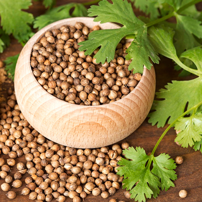 Coriander Seeds - Hạt rau Mùi khô ( 200g)