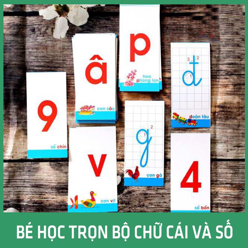 Bộ 40 Thẻ Học FlashCard Số Đếm Và Chữ Cái Cho Bé